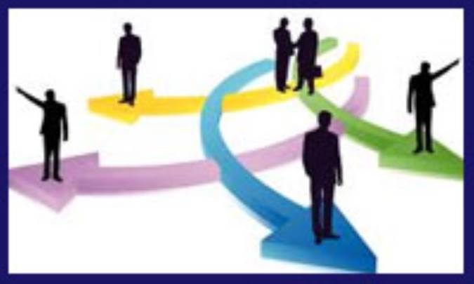 سازمانها و فرد