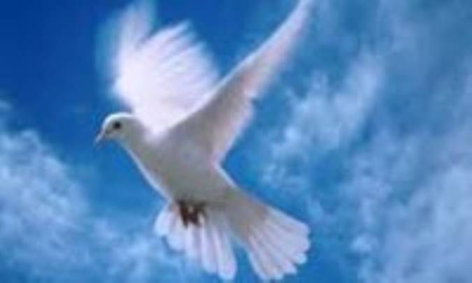 جلوه های حریت