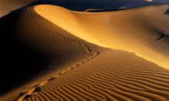 جلوگیری از پیش‌روی کویر