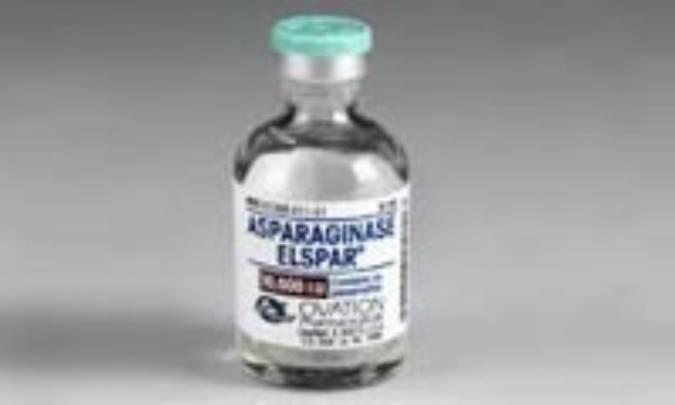 آسپاراژيناز (ASPARAGINASE)