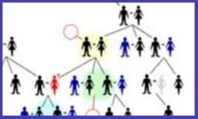 نظارت اجتماعی