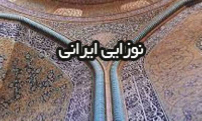 نوزایی ایرانی