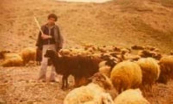 ظهور انسان دامدار