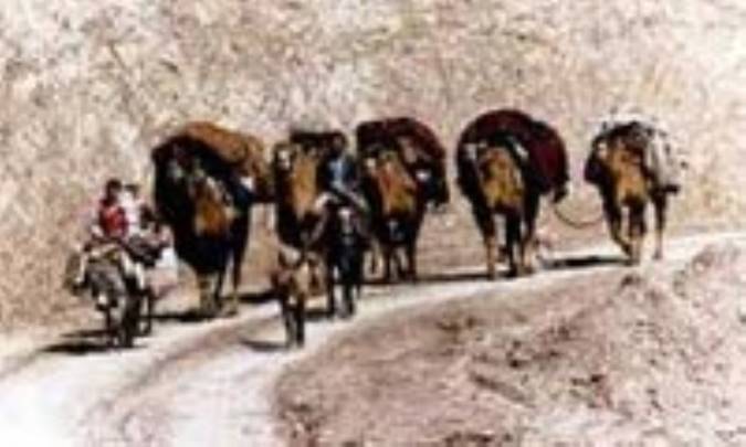 تمدن و جوامع نیمه متمدن