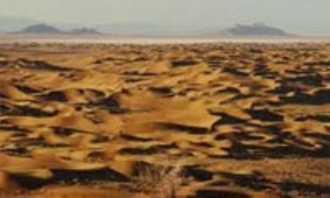 هجوم بیابان گردها