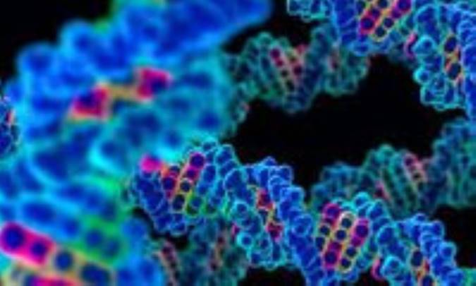 منشأ RNA
