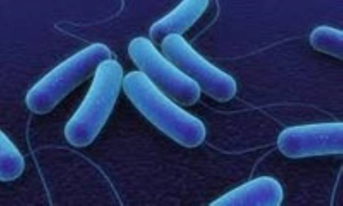 پژوهشی پیرامون کود اوره