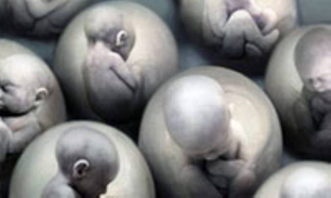 حقایقی درباره‌ی شبیه سازی انسان