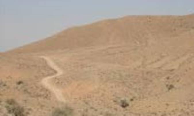 زیست بوم خور