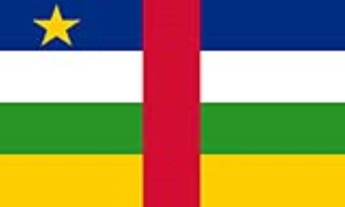افريقاي مرکزي: CENTRAL AFRICAN REPUBLIC (.cf)