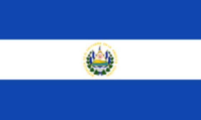السالوادور: ELSALVADOR (.sv)