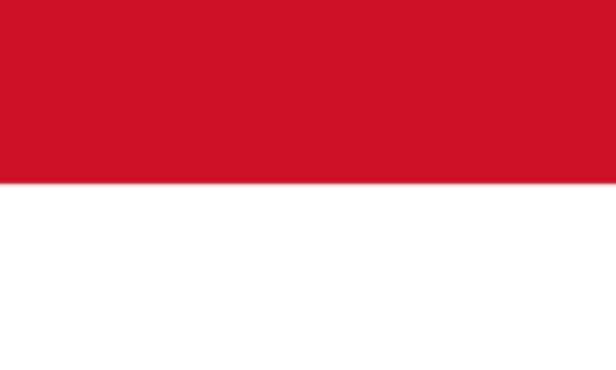 اندونزي: INDONEZIA (.id)