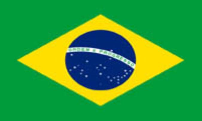 برزيل BRAZIL (.br)