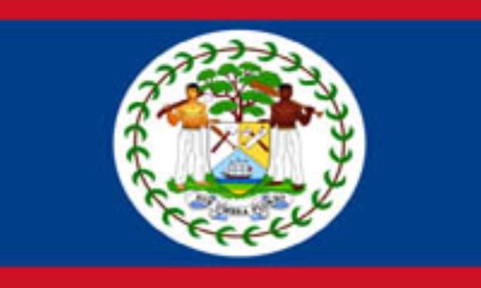 بليز BELIZE (.bz)