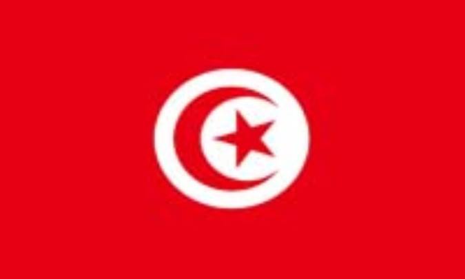 تونس: TUNISIA (.tn)