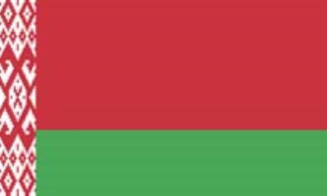 روسيه ي سفيد (بيلاروس): BELARUS (.by)