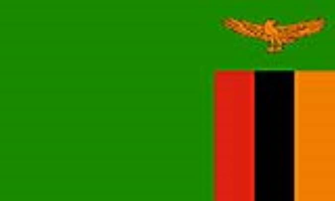 زامبيا: ZAMBIA (.zm)
