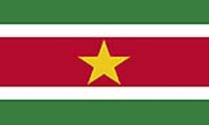 سورينام: SURINAME (.sr)