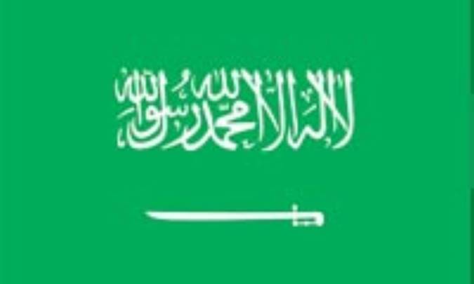 عربستان سعودي: SAUDI ARABIA (.sa)