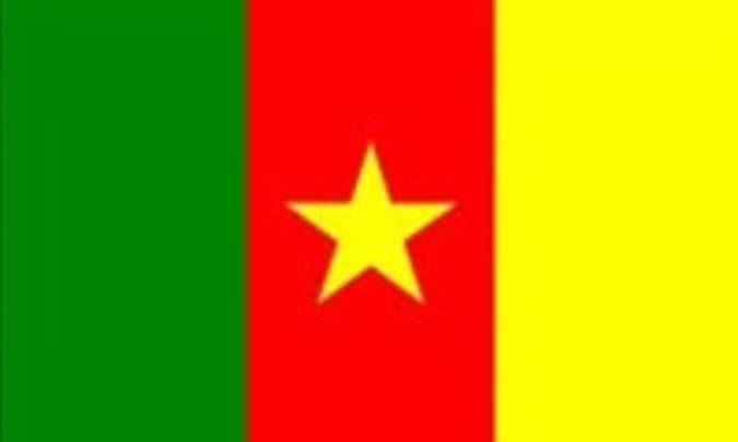 کامرون: CAMEROON (.cm)
