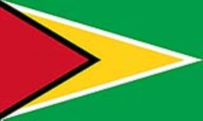 گويان: GUYANA(.gy)