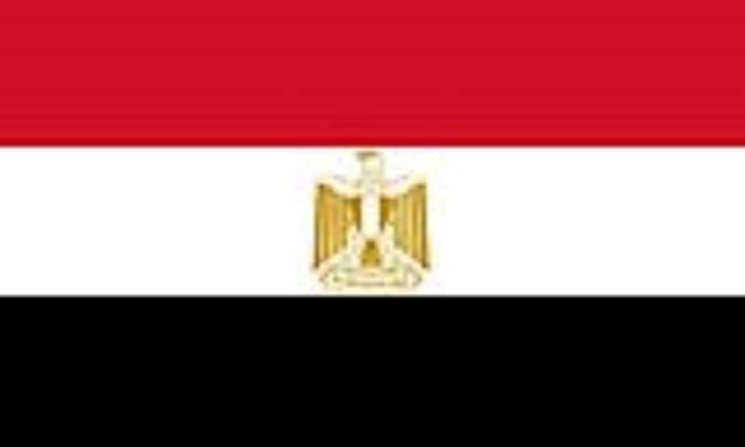 مصر: EGYPT(.eg)