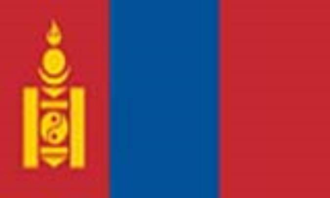 مغولستانMONGOLIA(.mn)