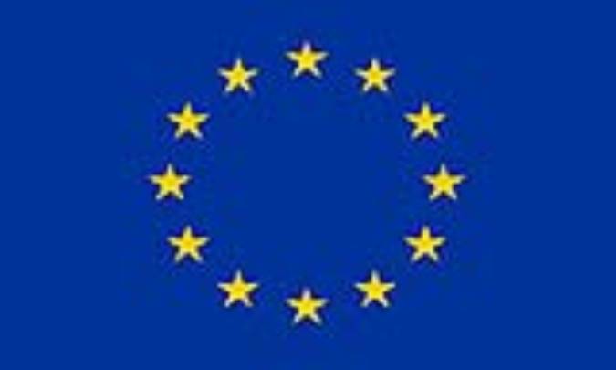 اتحاديه اروپا: THE EUROPEAN UNION(.eu)