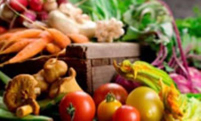 اهمیت تغذیه