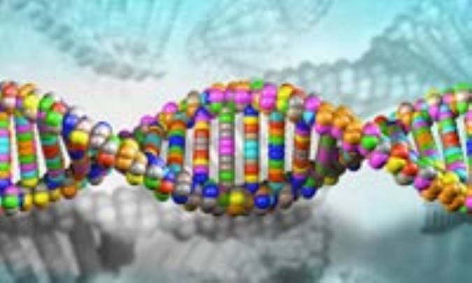 جنبه‌های جالب ژنتیک انسان