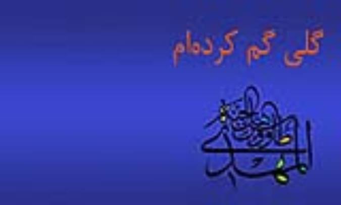 گلی گم کرده‌ام