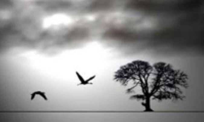 جلوه و جدايي