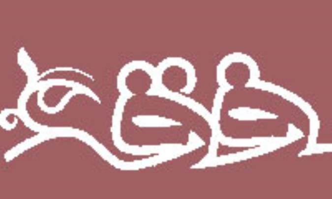 فقه و قانون نگارى(4)