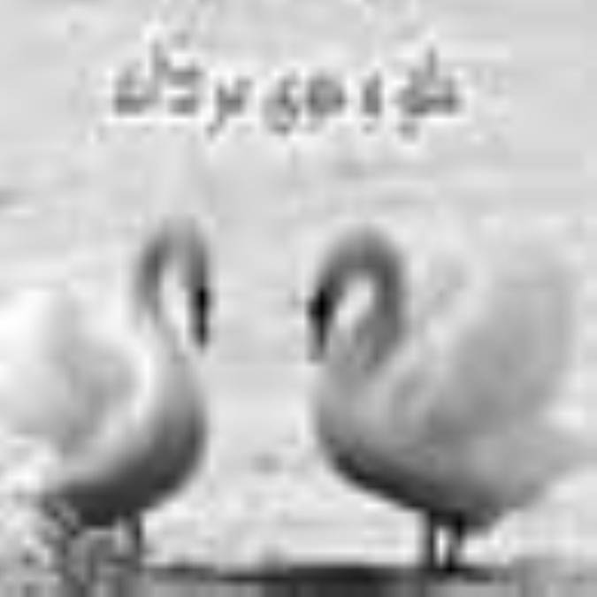 خلق و خوی مردانه