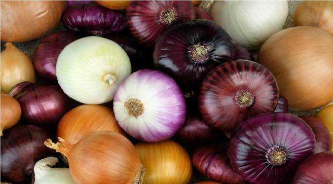 پیاز و خواص درمانی آن