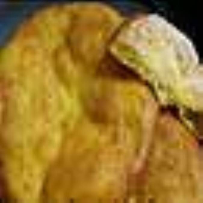 نان روغني جويي