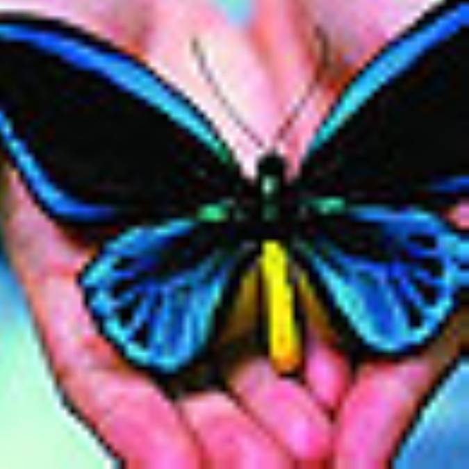 دیدگاه های گوناگون درباره خوشبختی 