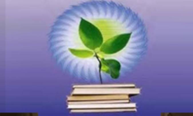 سنت و تربيت