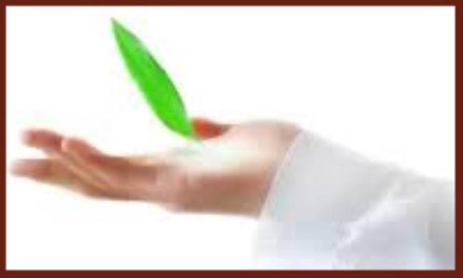 تربيت در منشور حکمت متعاليه