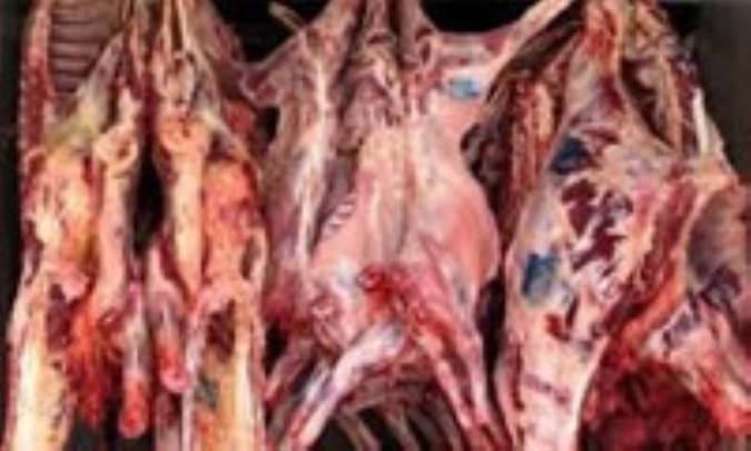 بهداشت گوشت قرباني