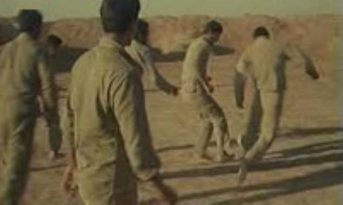 در بازي، خطا نکنيد