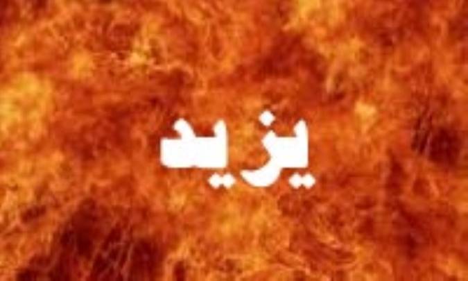 يزيد مجتهد بوده است!