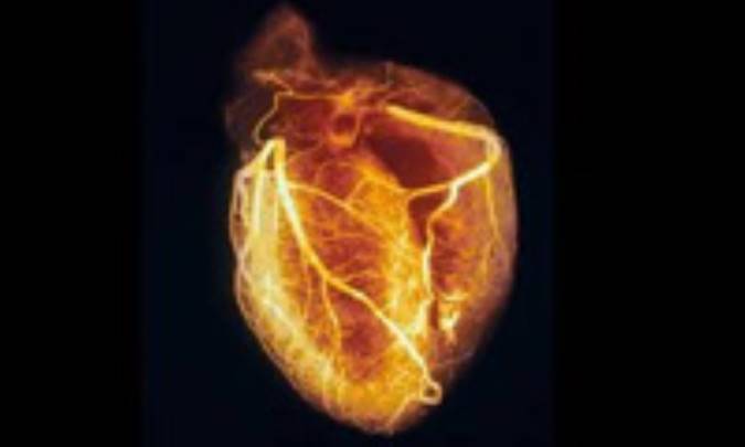 قلبي که بيمار متولد مي شود