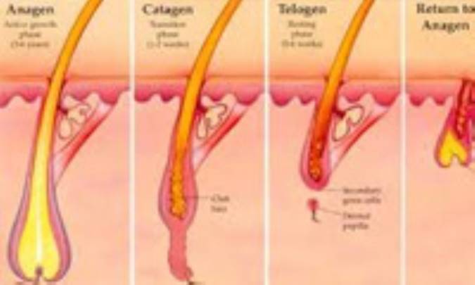 با موهاي زائد چه کنيم