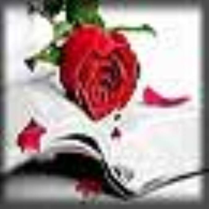 گذري بر شعر شيعي