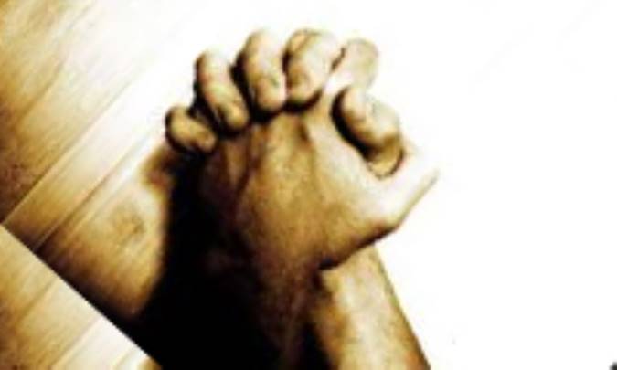 ایده بشر واحد