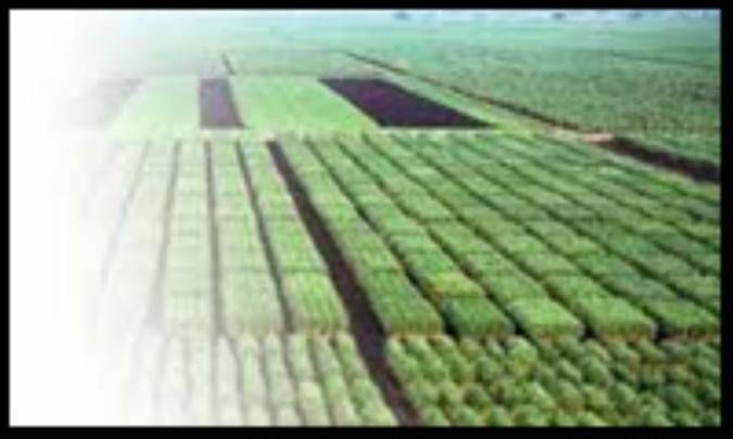 اصلاحات ارضی و بحران فرهنگی