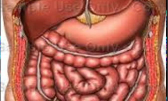 مراحل گوارش از دیدگاه پزشکی روز