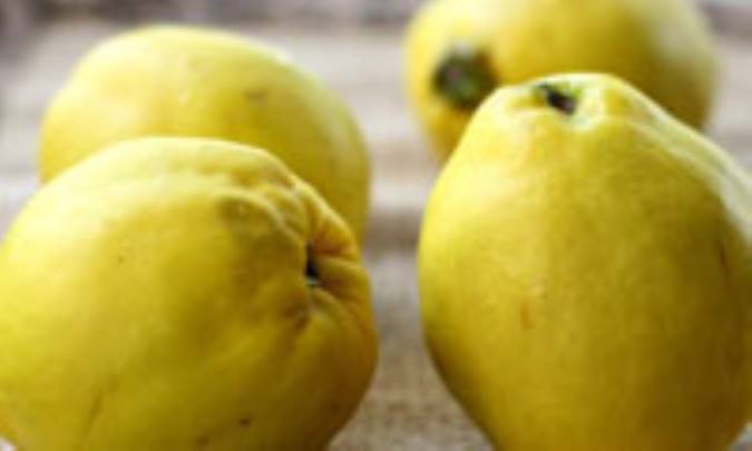 شماري از فوايد بِه