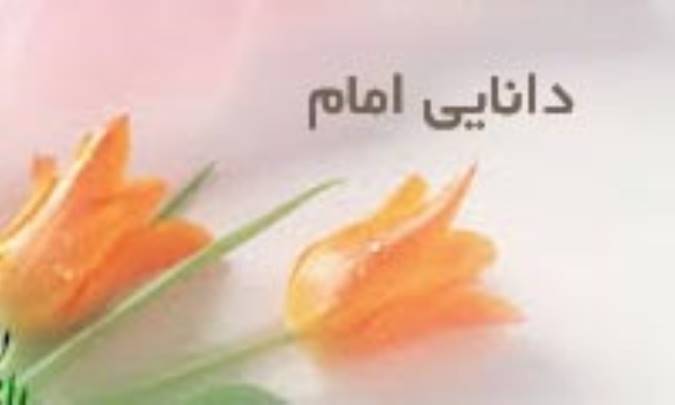 دانایی و کفایت امام